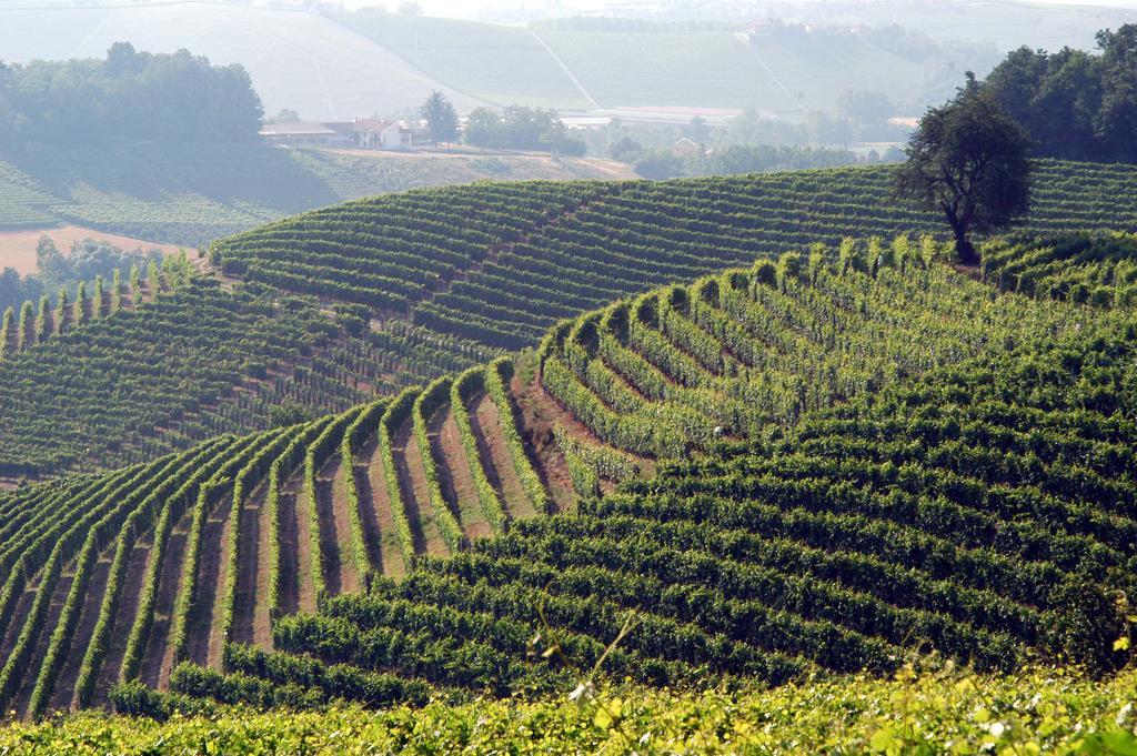 Cascina Arcangelo Raffaele Verduno Buitenkant foto