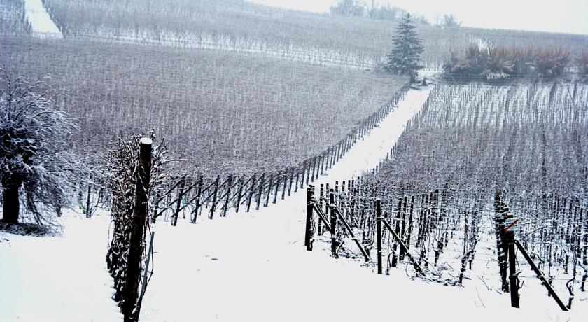 Cascina Arcangelo Raffaele Verduno Buitenkant foto