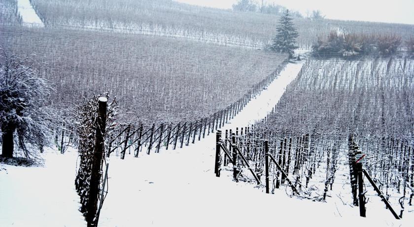 Cascina Arcangelo Raffaele Villa Verduno Buitenkant foto