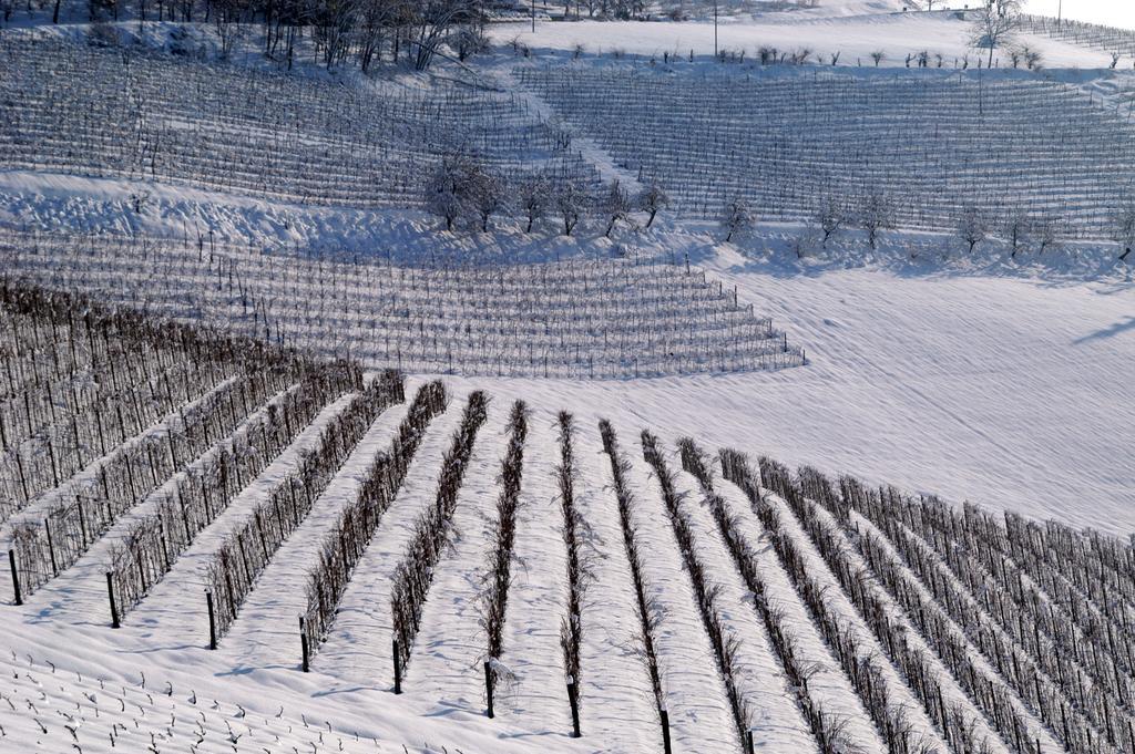 Cascina Arcangelo Raffaele Verduno Buitenkant foto