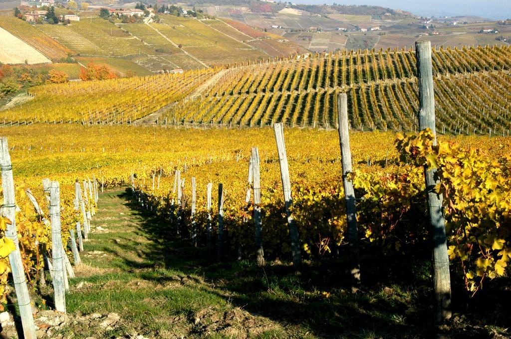 Cascina Arcangelo Raffaele Verduno Buitenkant foto