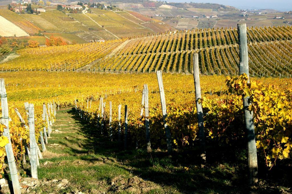 Cascina Arcangelo Raffaele Villa Verduno Buitenkant foto