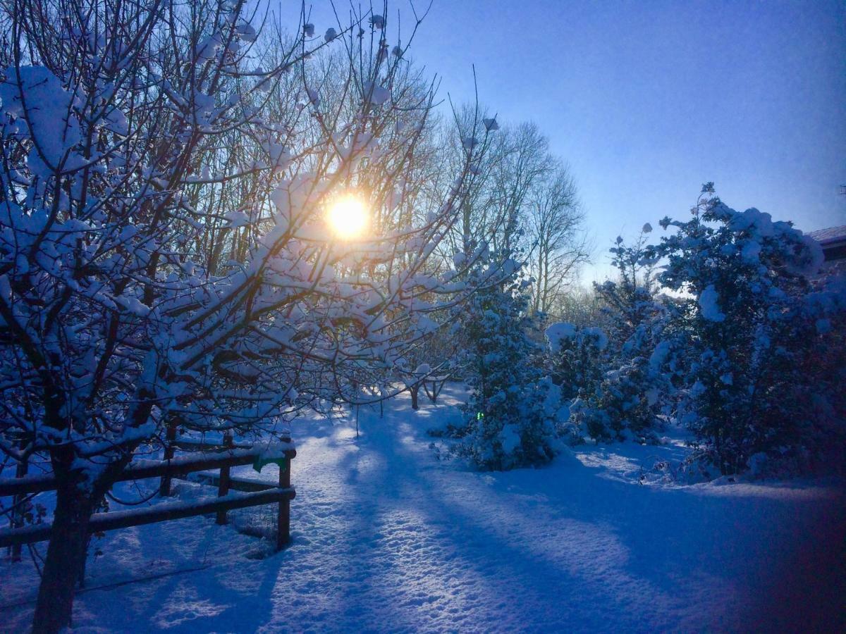 Cascina Arcangelo Raffaele Verduno Buitenkant foto